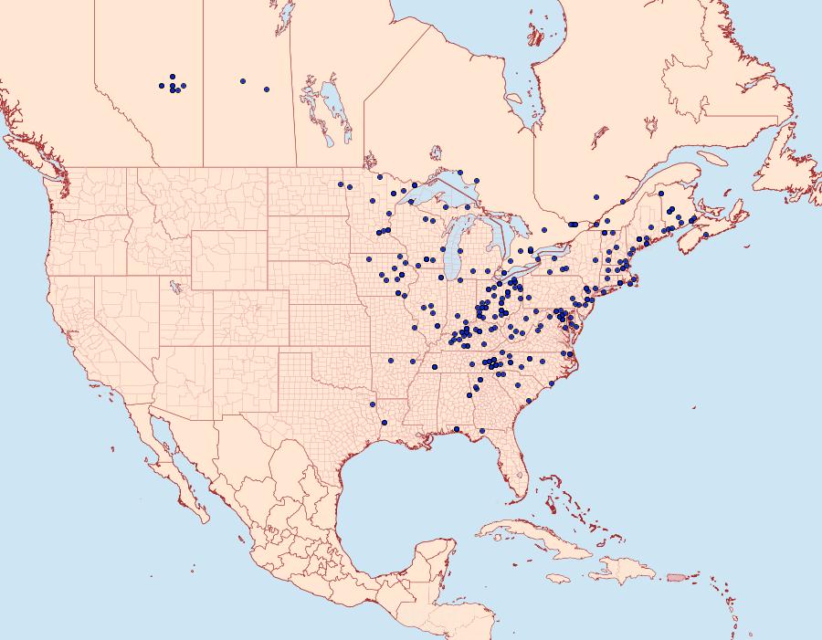 Distribution Data for Tetracis crocallata