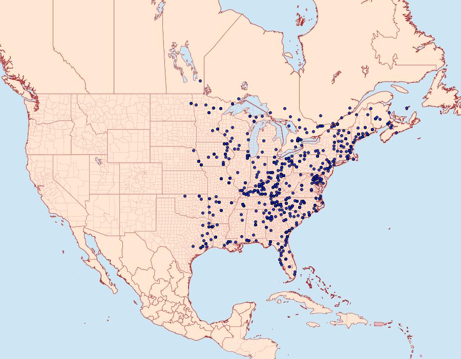 Distribution Data for Eutrapela clemataria