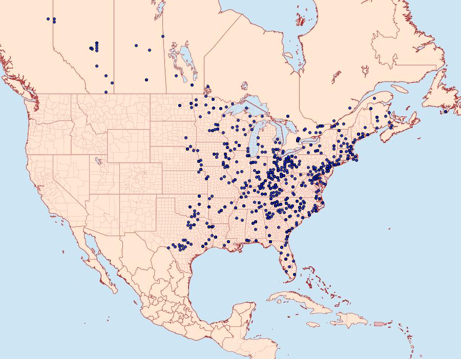 Distribution Data for Prochoerodes lineola