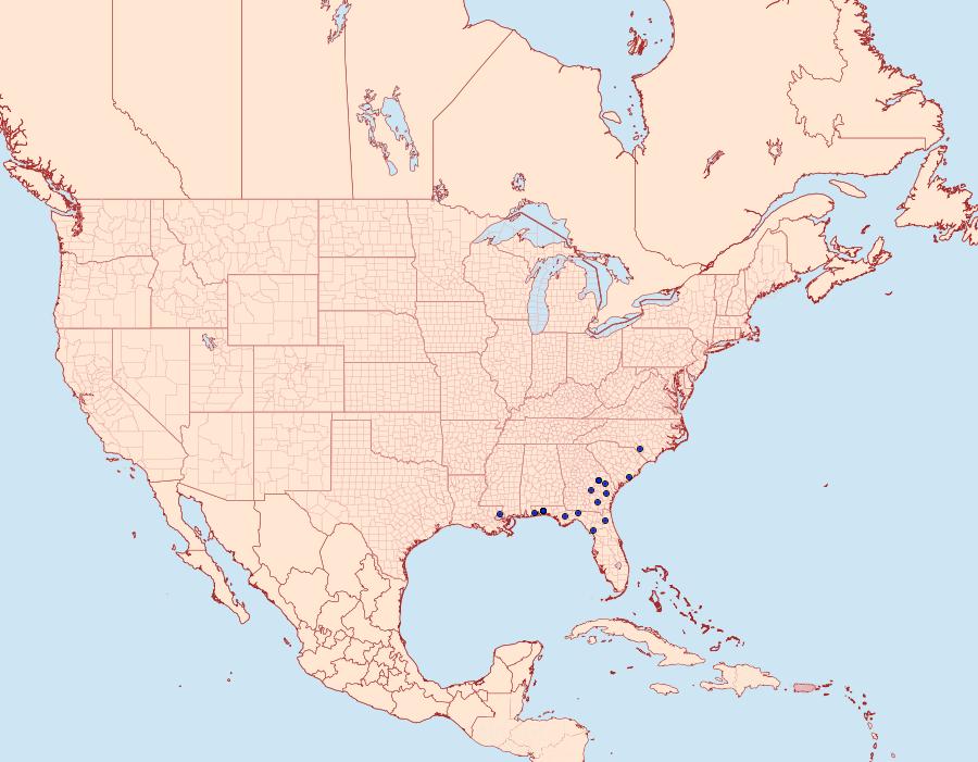 Distribution Data for Nematocampa baggettaria