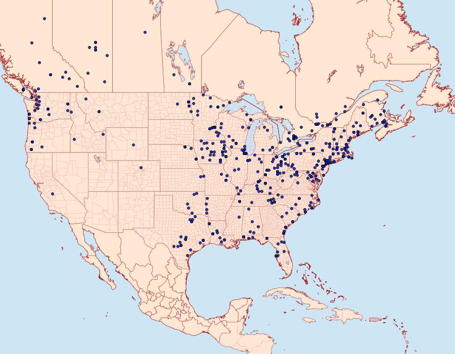 Distribution Data for Nematocampa resistaria