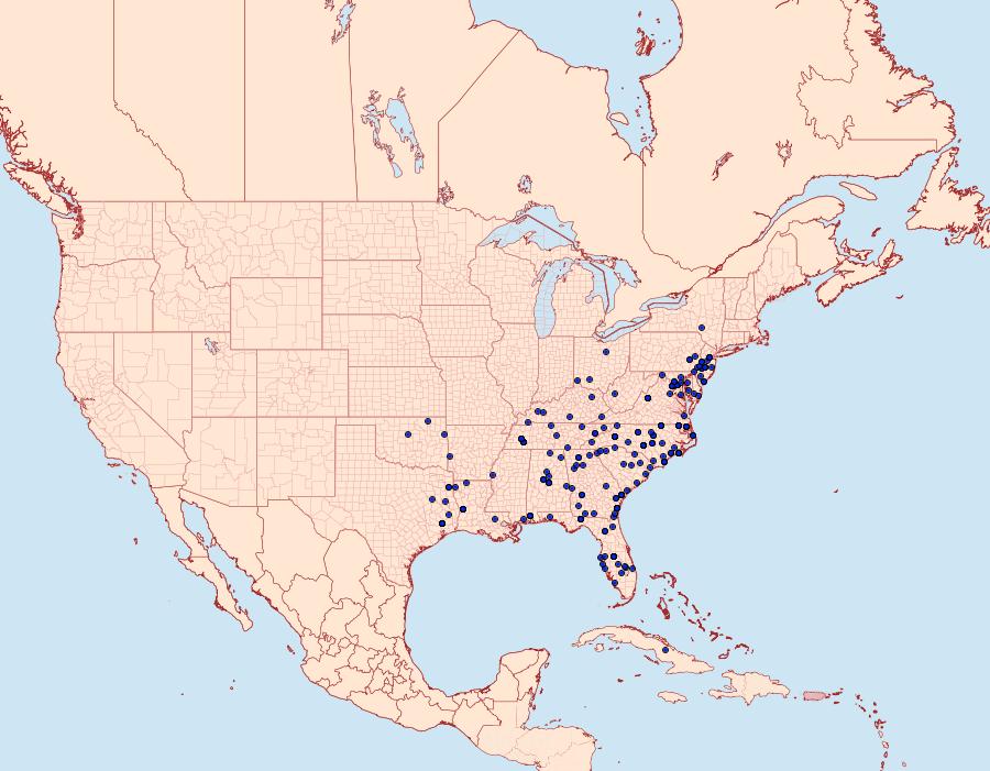 Distribution Data for Nemoria lixaria