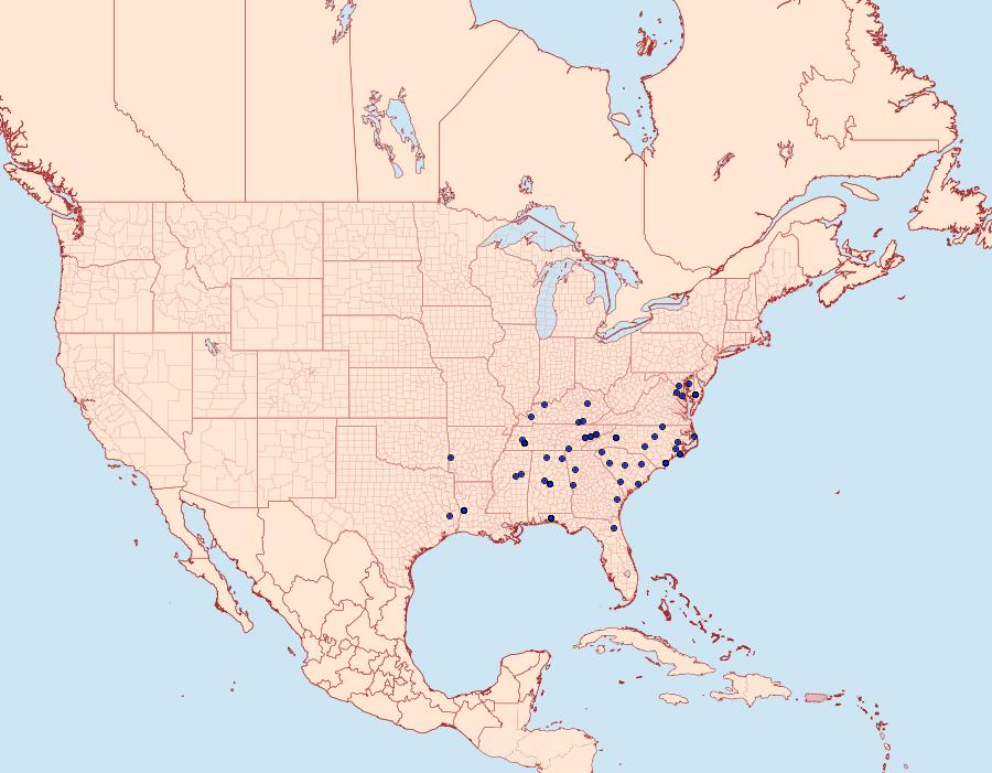 Distribution Data for Nemoria saturiba