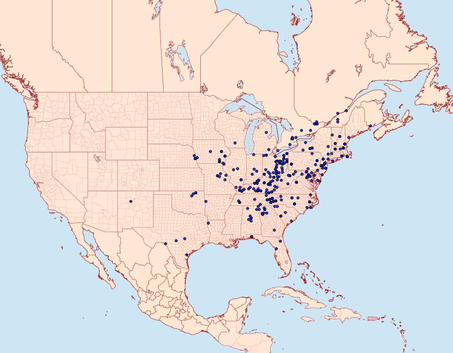 Distribution Data for Nemoria bistriaria