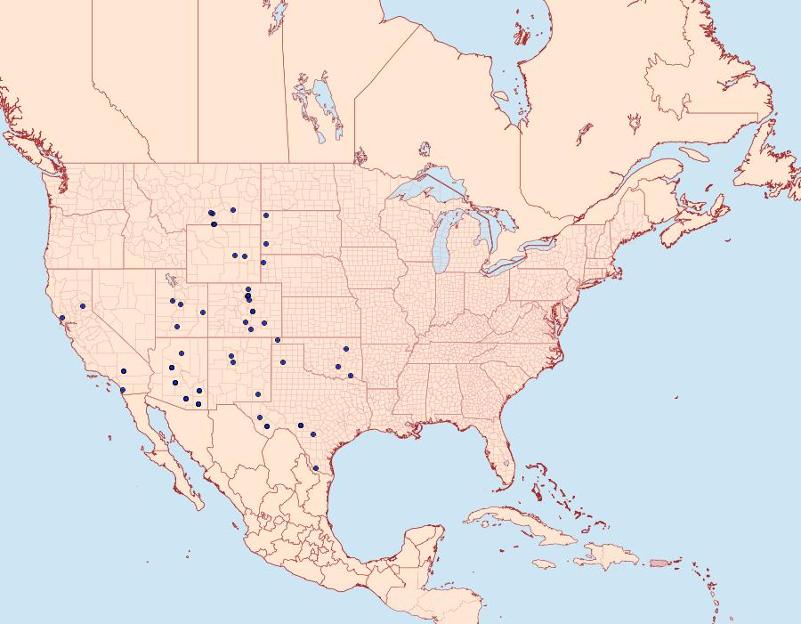 Distribution Data for Dichorda rectaria