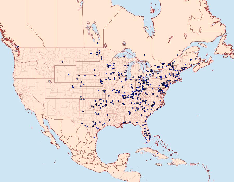 Distribution Data for Chlorochlamys chloroleucaria