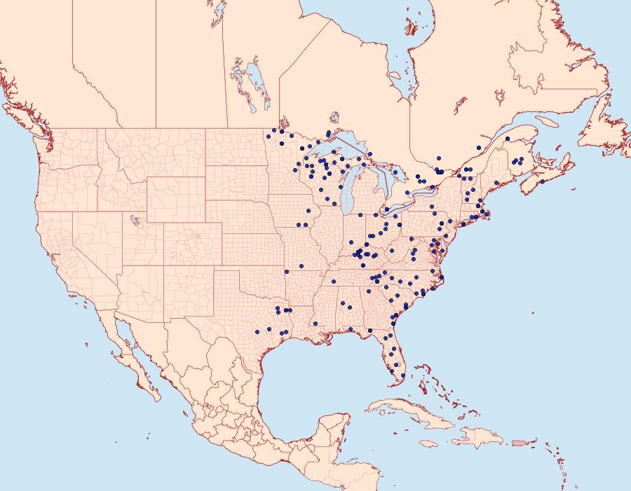 Distribution Data for Thalera pistasciaria