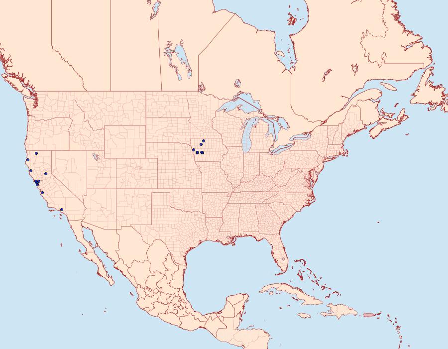 Distribution Data for Stigmella ceanothi