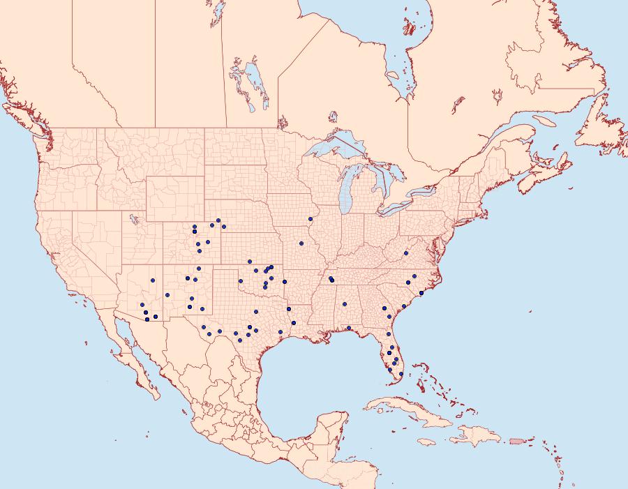 Distribution Data for Lobocleta peralbata