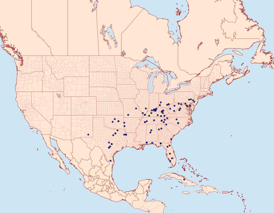 Distribution Data for Idaea furciferata