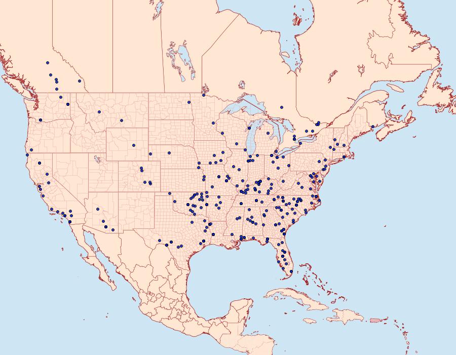 Distribution Data for Idaea demissaria