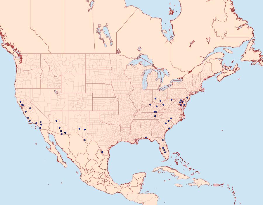 Distribution Data for Idaea eremiata