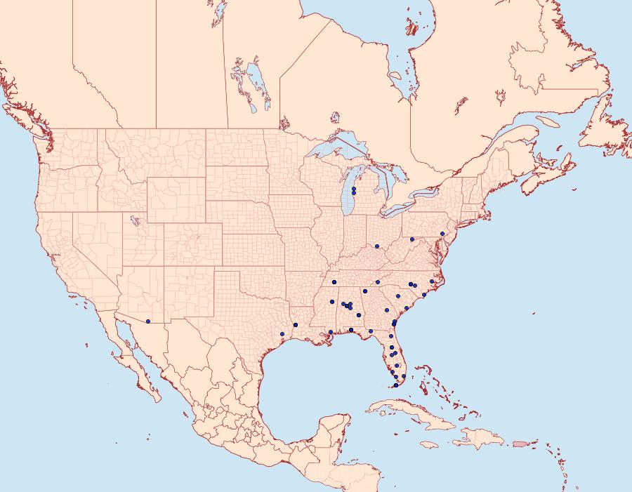 Distribution Data for Idaea violacearia