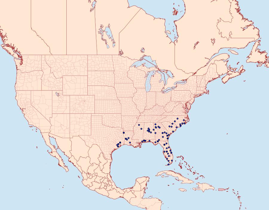 Distribution Data for Idaea tacturata