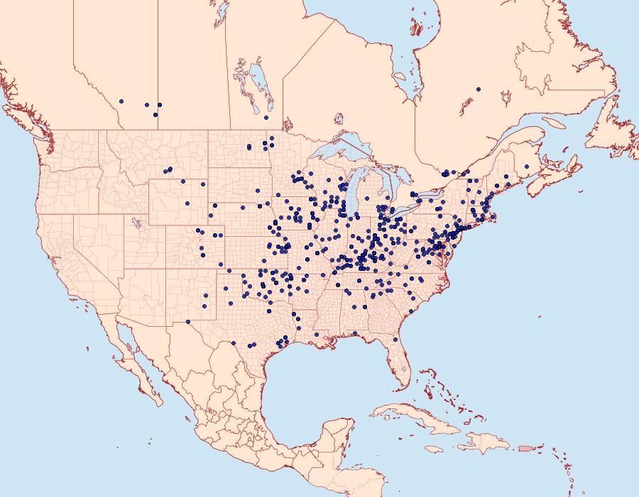 Distribution Data for Haematopis grataria