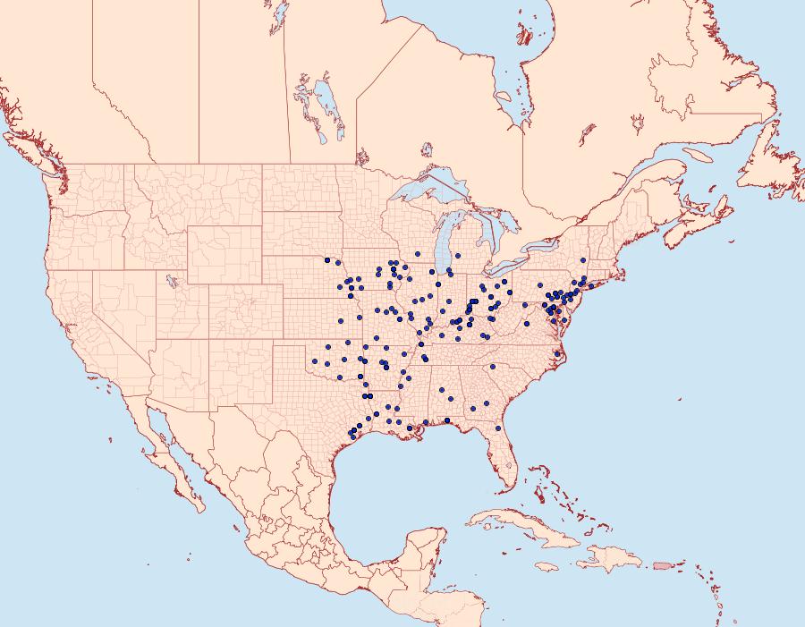 Distribution Data for Timandra amaturaria