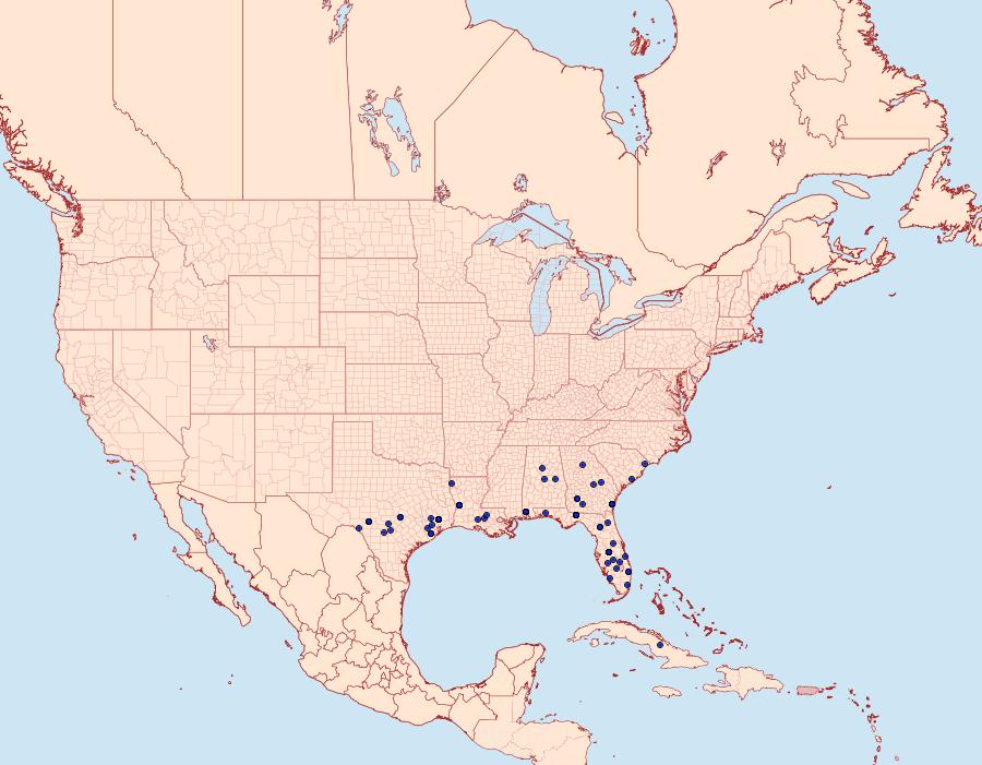 Distribution Data for Scopula compensata