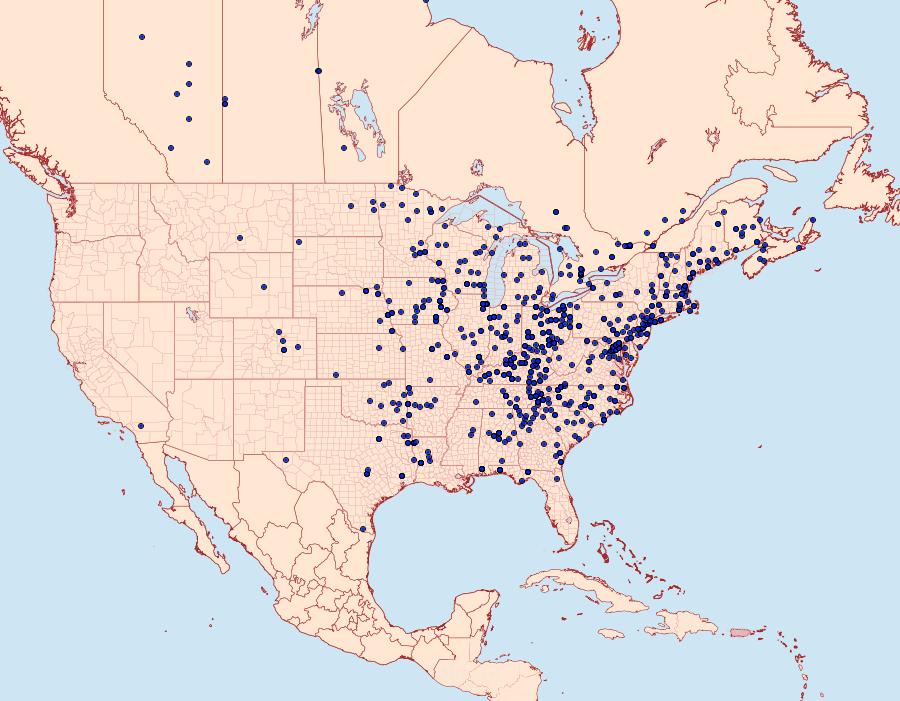 Distribution Data for Scopula limboundata