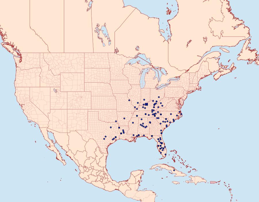 Distribution Data for Lophosis labeculata