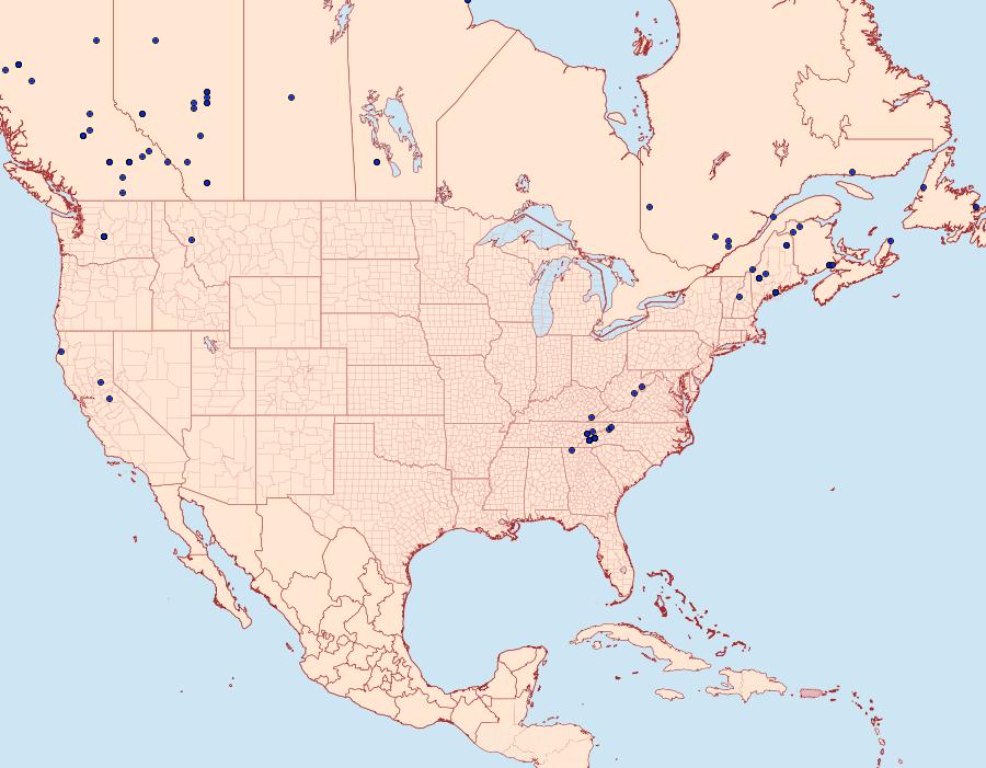 Distribution Data for Dysstroma truncata