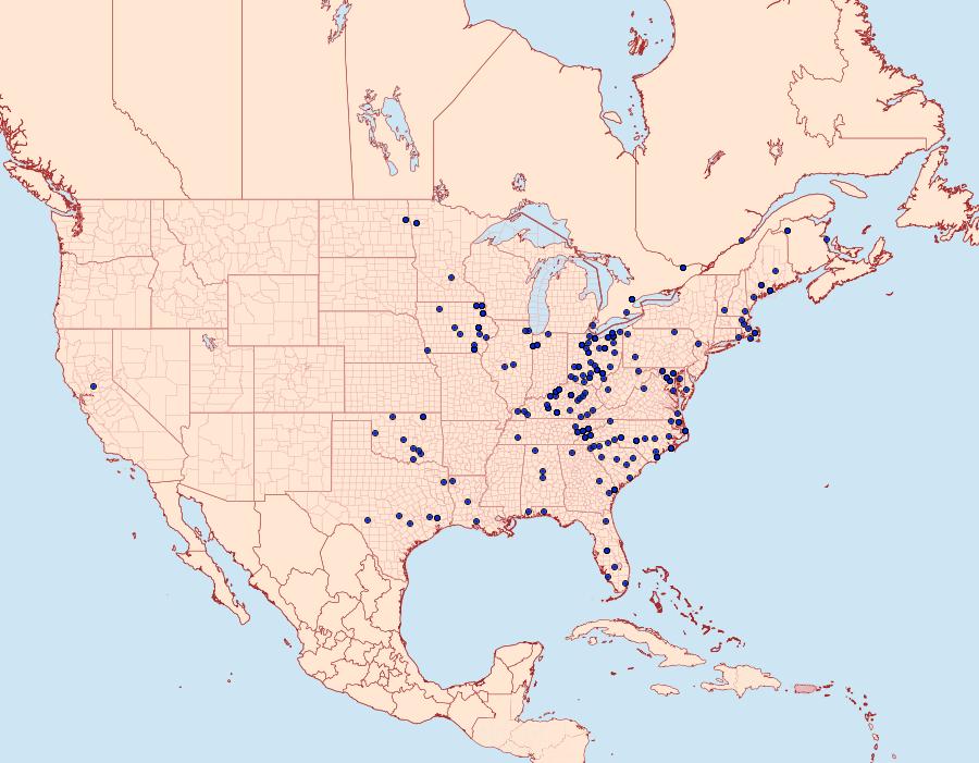 Distribution Data for Eulithis diversilineata