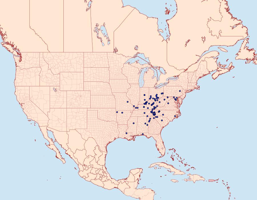 Distribution Data for Gandaritis atricolorata