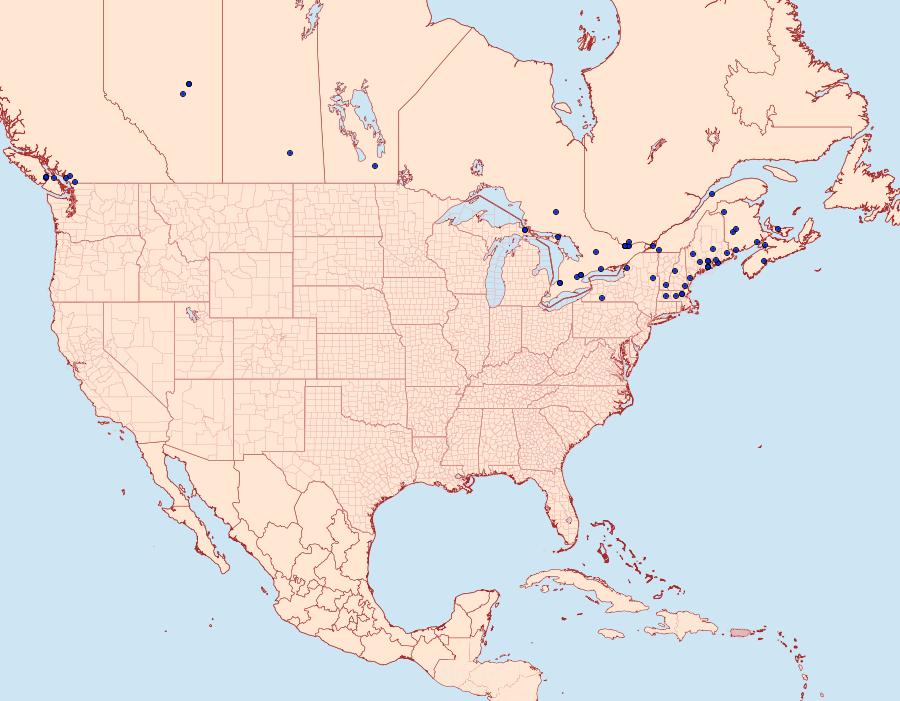 Distribution Data for Thera juniperata