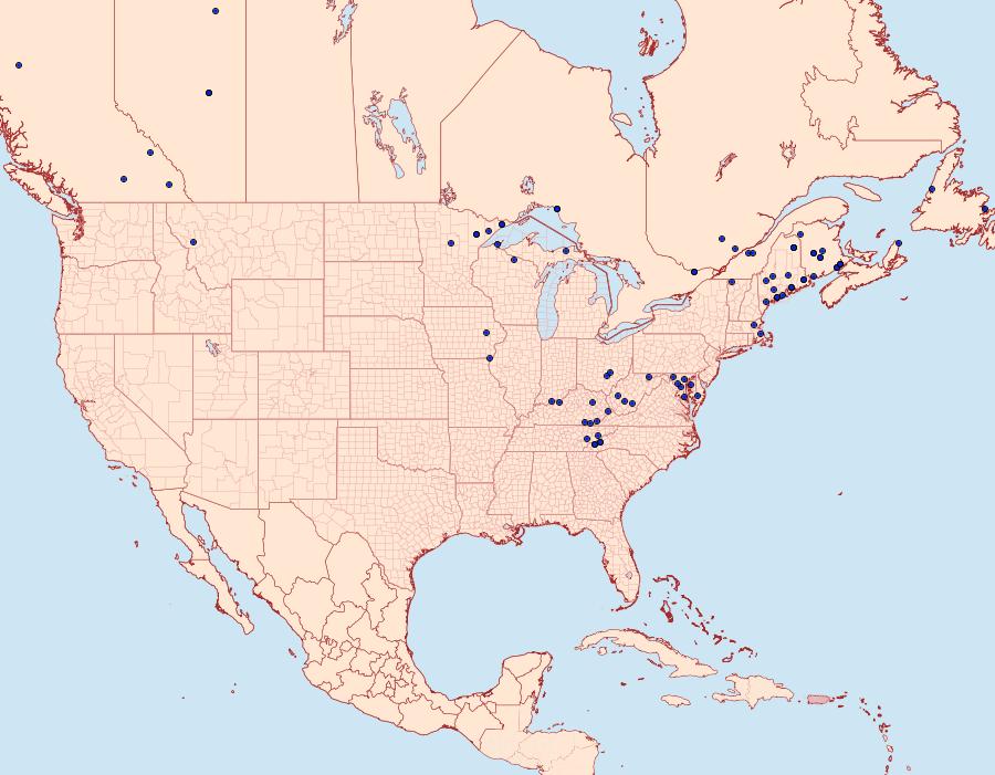 Distribution Data for Hydriomena divisaria