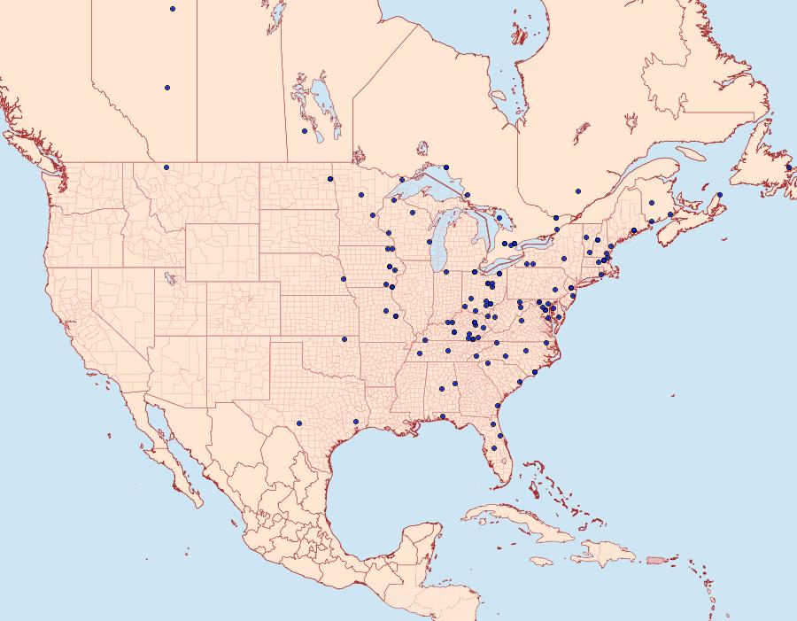 Distribution Data for Hydriomena transfigurata