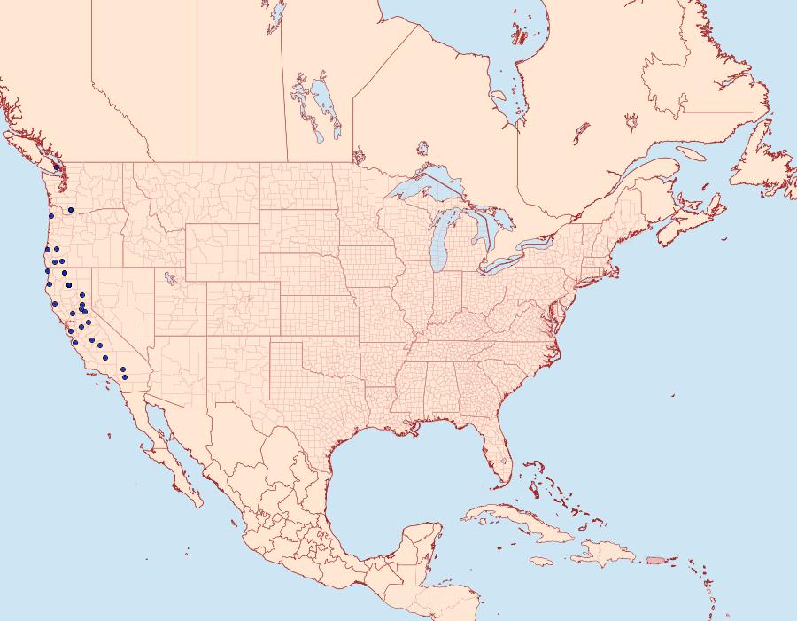 Distribution Data for Hydriomena crokeri