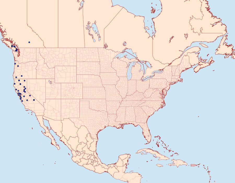 Distribution Data for Hydriomena manzanita