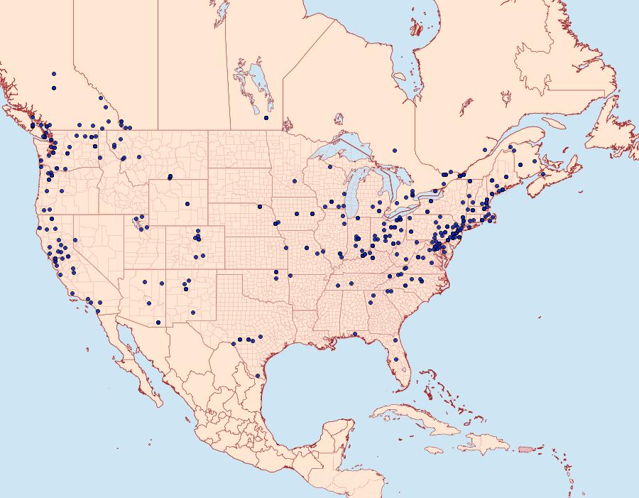 Distribution Data for Rheumaptera meadii