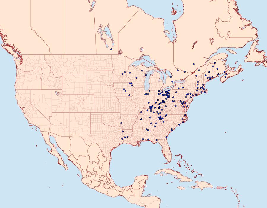 Distribution Data for Rheumaptera prunivorata