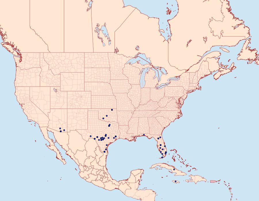 Distribution Data for Hammaptera parinotata