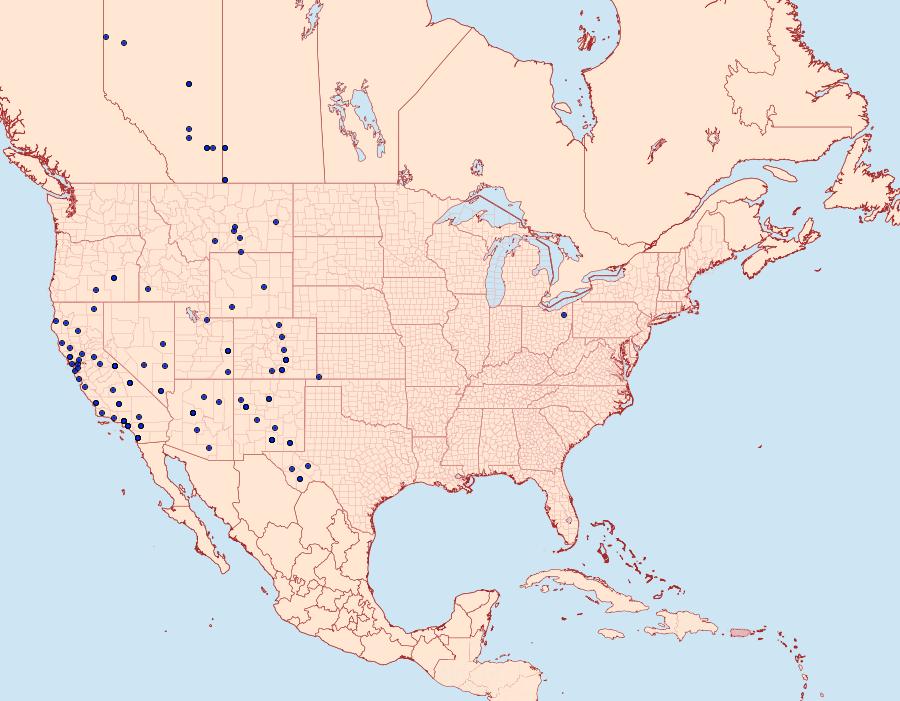 Distribution Data for 