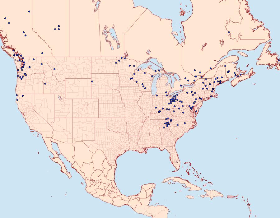 Distribution Data for Anticlea vasiliata