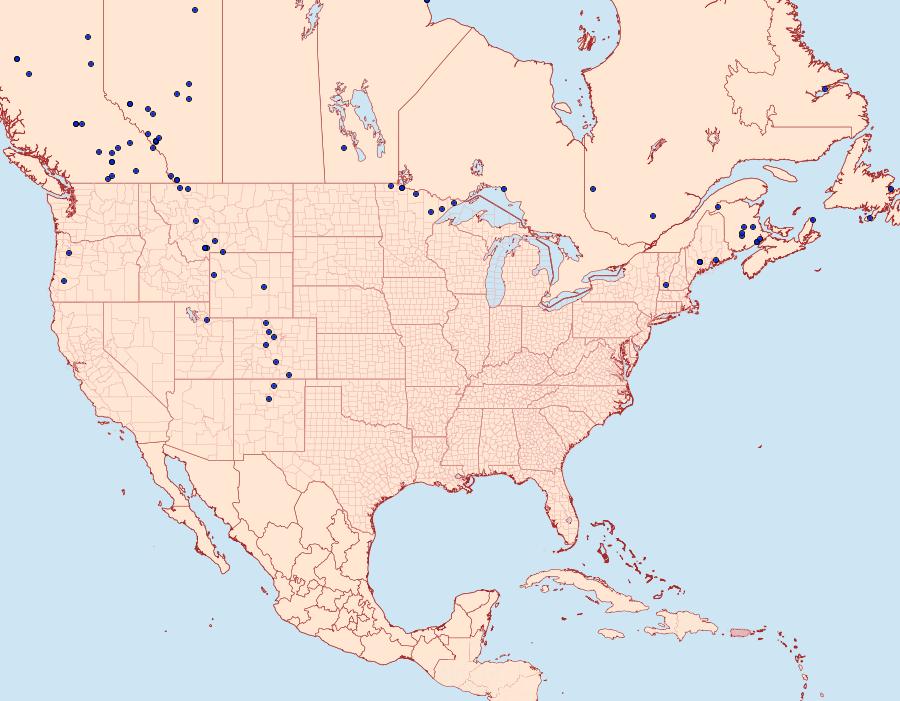 Distribution Data for Xanthorhoe abrasaria