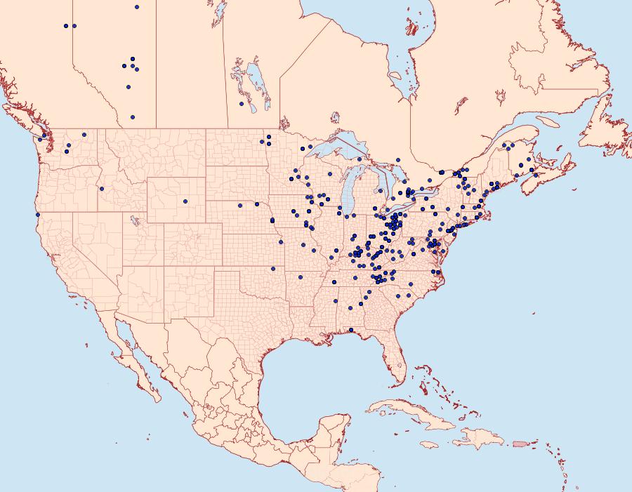 Distribution Data for Xanthorhoe lacustrata