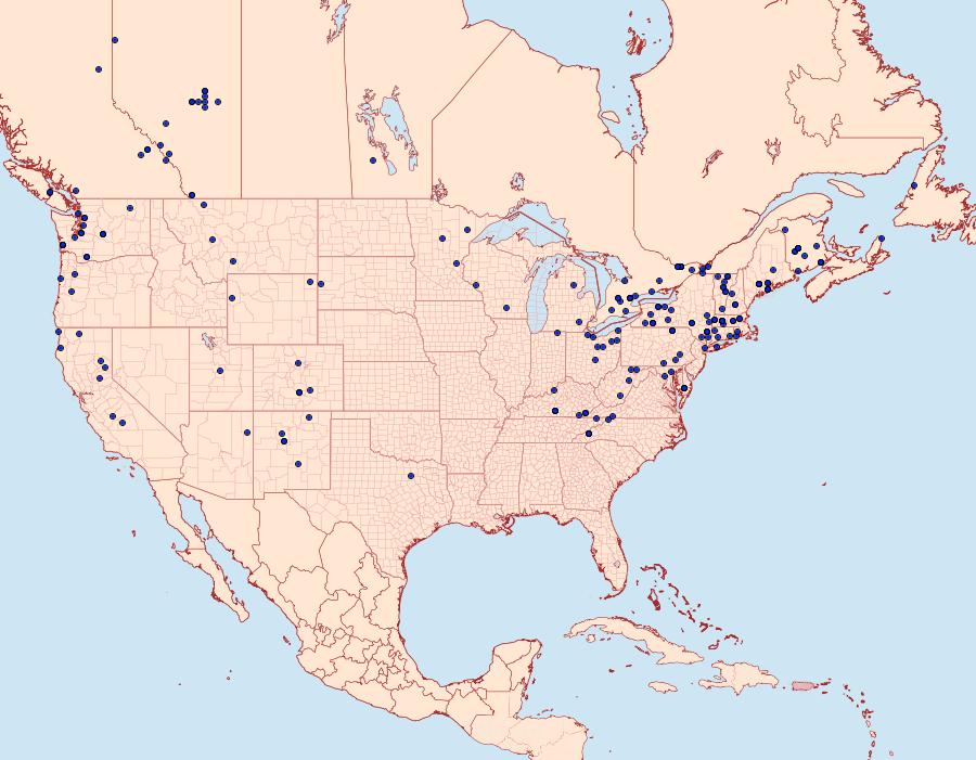 Distribution Data for Epirrhoe alternata