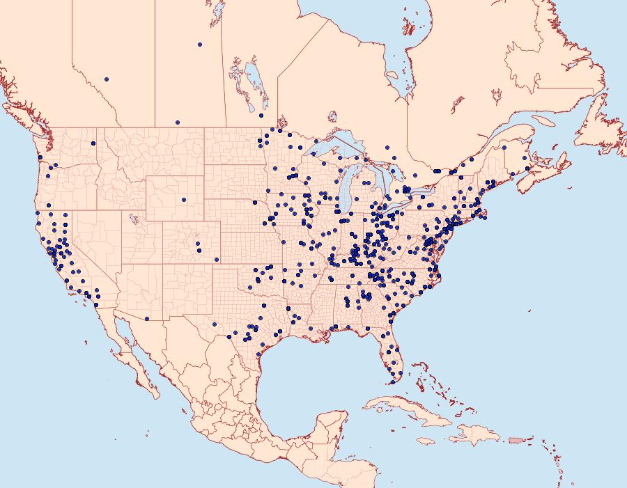 Distribution Data for Orthonama obstipata