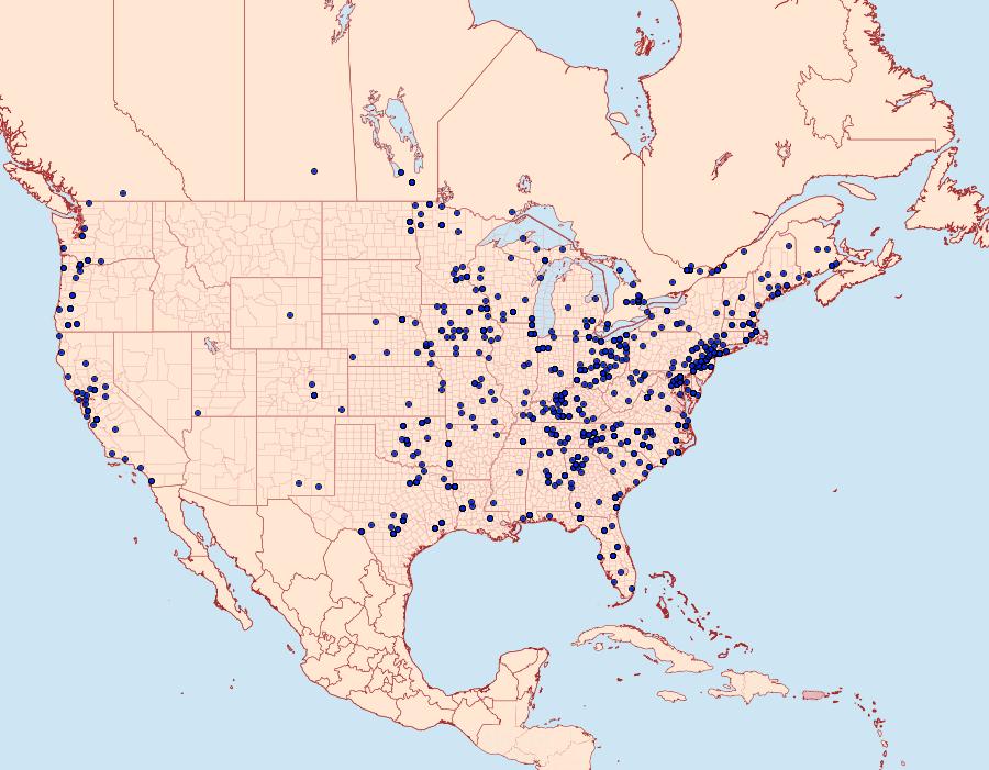 Distribution Data for Costaconvexa centrostrigaria