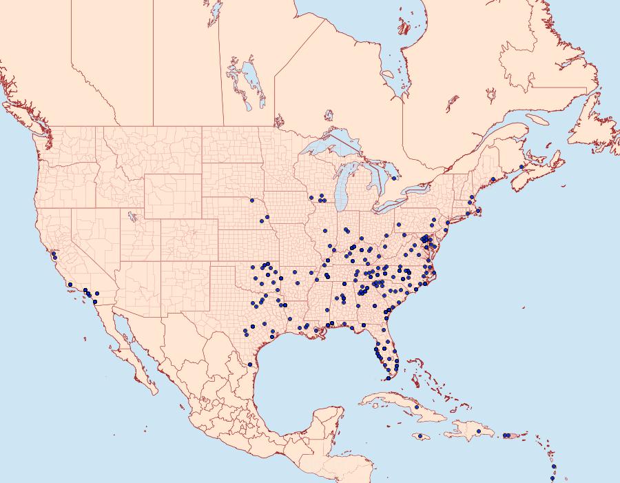 Distribution Data for Disclisioprocta stellata