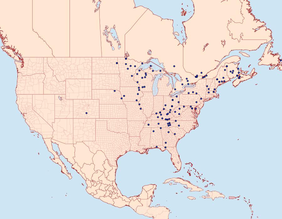 Distribution Data for Venusia comptaria