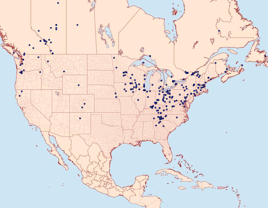 Distribution Data for Trichodezia albovittata