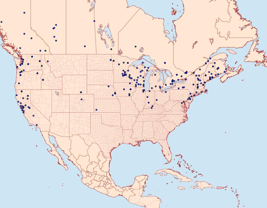 Distribution Data for Operophtera bruceata