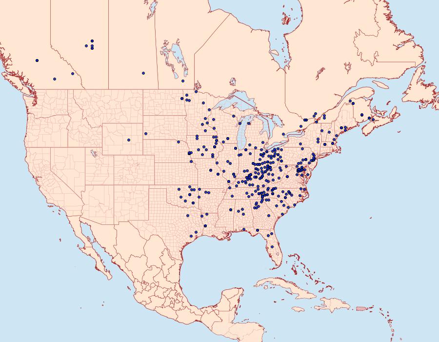 Distribution Data for Eubaphe mendica