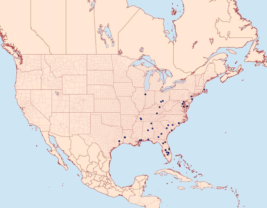 Distribution Data for Eubaphe meridiana