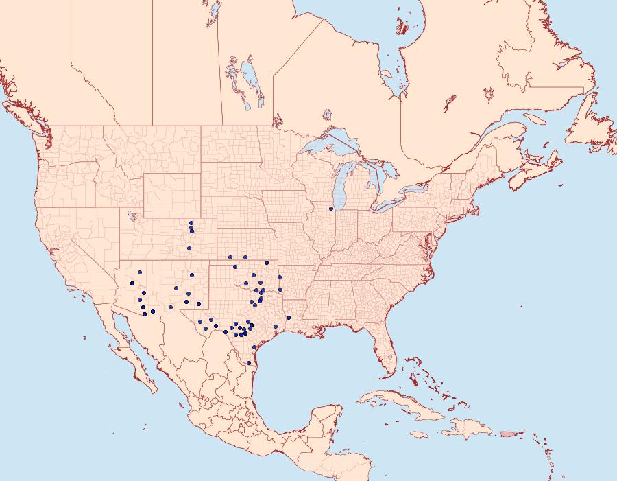 Distribution Data for Eubaphe unicolor