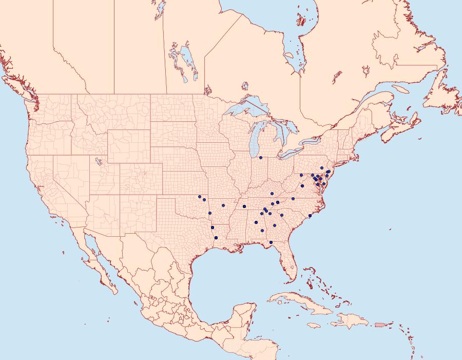 Distribution Data for Eupithecia peckorum