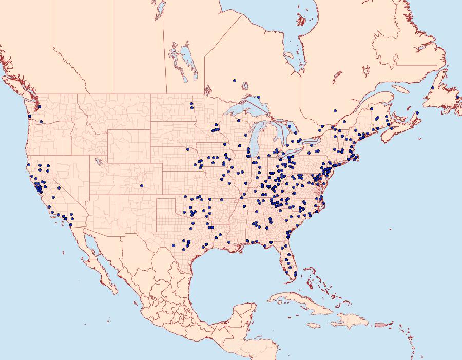 Distribution Data for Eupithecia miserulata